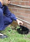 Pest Control in East Sydney